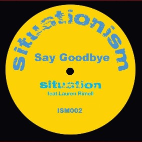 Situation Say Goodbye (feat. Lauren Rimmel)